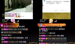 热线爆料视频大全下载,视频大全背后的真实故事