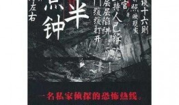 午夜节目在线观看,在线观看，揭秘深夜魅力时光