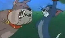 最新老鼠爆料视频下载免费,免费下载背后的真相大揭秘