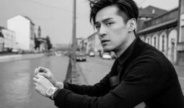 爆料娱乐圈胡歌是什么,娱乐圈爆料背后的真实故事