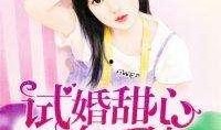 在线观看试婚,在线观看，开启婚姻试水之旅