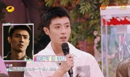 陈哲远塌房新闻爆料,真相揭秘，娱乐圈再掀波澜