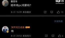 华为明年最新爆料新闻,颠覆性新机与5G技术革新前瞻