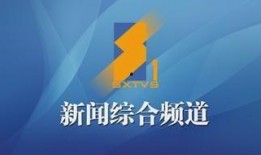 陕西电视台官网新闻爆料,聚焦本地热点事件，揭示社会现象