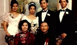 喜宴中文在线观看,在线重温经典中文婚庆电影