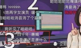 散兵配音爆料视频大全,揭秘幕后配音故事