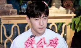 明星娱乐爆料解说大全