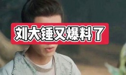 刘大锤爆料金庸视频,金庸视频背后的惊人内幕