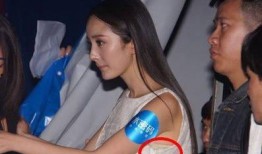 杨幂被爆料完整视频,真相与争议并存