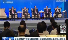 金融最新爆料新闻报道,揭秘行业黑幕与变革动向