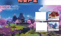原神爆料视频能发吗,神秘角色与奇幻世界大揭秘