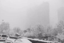 石家庄爆料下雪事件视频,石家庄惊现罕见大雪奇观！