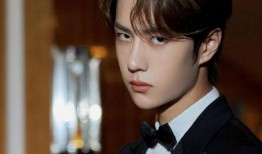 最近圈内爆料王一博地位,圈内爆料揭示其不可动摇的地位