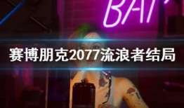流浪者新爆料视频播放,流浪生活背后的真实故事