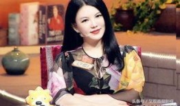 张小寒爆料杨姓女星视频,真相与争议