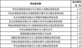 券商爆料新闻,揭秘股市内幕，揭示投资真相
