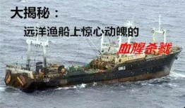 出海船员爆料视频大全,爆料视频大全背后的故事