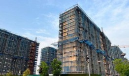 重庆烂尾楼爆料视频最新,揭秘背后的困境与挑战