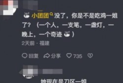 圈内人爆料小团团复播,圈内人爆料，神秘回归引热议