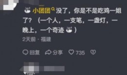 圈内人爆料小团团复播,圈内人爆料，神秘回归引热议