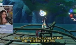 枫丹角色早期爆料视频在线观看,揭秘神秘角色背后的故事与设计理念
