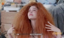 浪姐八卦爆料视频,视频爆料背后的惊人真相