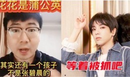 圈内爆料张艺杰事件,圈内爆料揭开娱乐圈神秘面纱