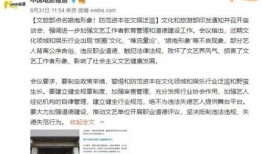 整顿娱乐圈爆料文案图片,揭秘幕后真相与明星命运转折