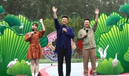 肥西女婿爆料视频最新版