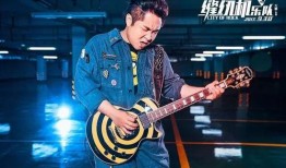 大鹏演唱会爆料视频播放,独家爆料视频带你领略现场魅力