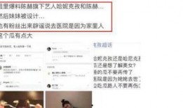 陈赫哈妮克孜爆料视频,揭秘背后真相
