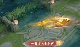 李小龙爆料皮肤视频播放