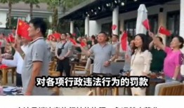 网友爆料越南事件视频完整版,揭秘真相与冲突背后的故事