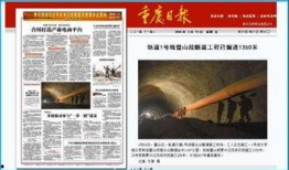 重庆卫视新闻爆料,揭秘重大事件背后真相
