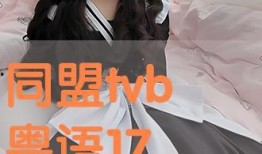 同盟粤语17在线观看,在线观看，解锁粤语魅力新篇章