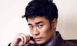 陈赫哈妮克孜爆料视频,揭秘背后真相