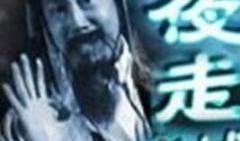夜走鬼城在线观看,惊悚探险之旅
