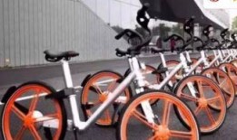 进口自行车爆料视频播放,视频曝光背后的品质与价格真相