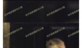 刘大锤爆料金庸视频,金庸视频背后的惊人内幕