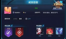 王者爆料阿牛视频大全,阿牛视频大全，揭秘英雄技能与战术运用