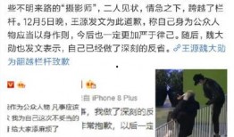 王源狗仔爆料事件视频在线观看,揭秘明星私生活幕后真相
