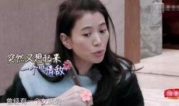 袁咏仪娱乐圈爆料,一场星光璀璨下的暗流涌动