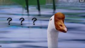 一梦吃瓜娱乐,揭秘娱乐圈幕后故事与热点事件