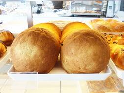 娱乐吃瓜君面包