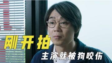 娱乐吃瓜君吃自己的瓜,揭秘娱乐圈惊人内幕